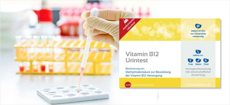 B12 Book Pdf
