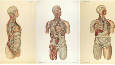 B12-deficiency