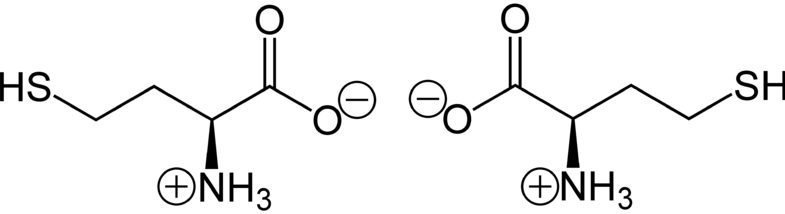 Homocysteine and Vitamin B12