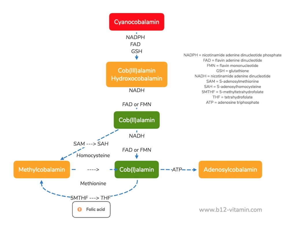 EN_conversion