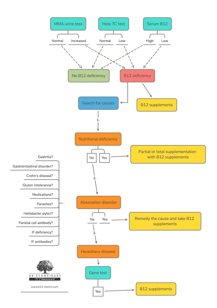 B12 Deficiency Chart