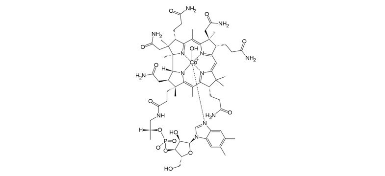 Hydroxocobalamin – Long-Lasting Vitamin B12