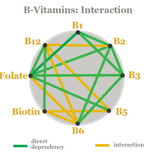 Vitamin B Complex Dr Schweikart