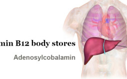 vitamin-b12-body-stores