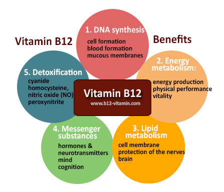 Benefits of Vitamin B12: How To Use, What To Look For