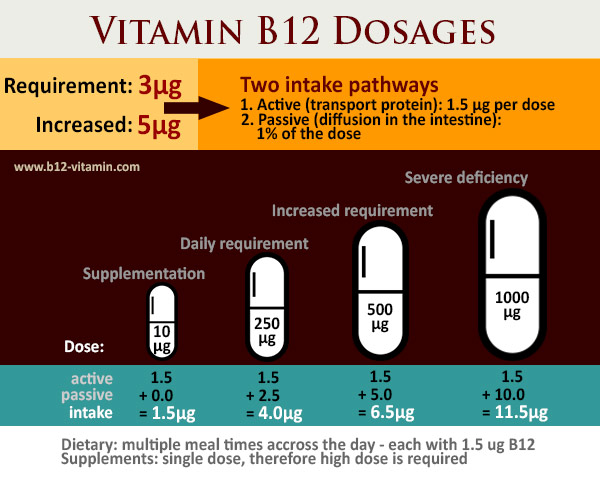 Vitamin B12 An Overview Vitamin B12 An Overview